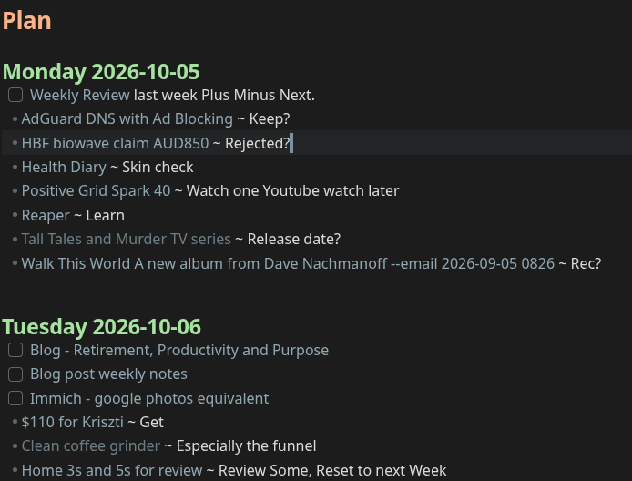 Plan section showing date headings and tasks